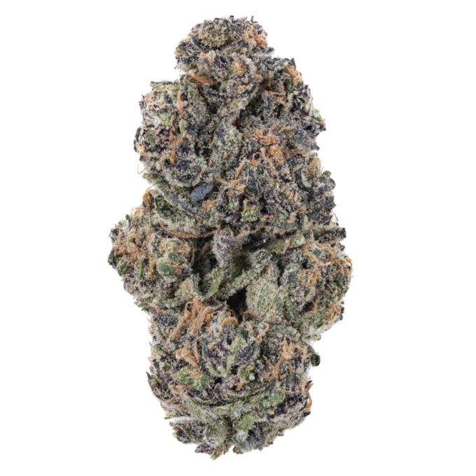 9 Pound Hammer THCa Flower